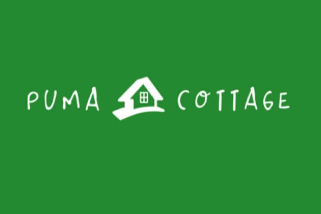 Puma Cottage Horcón Exteriör bild
